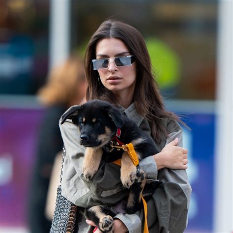 emrata dog|emily ratajkowski dog dress.